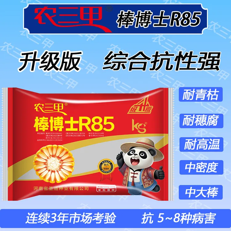 农三甲棒博士R85升级版红棒轴角质粮抗病抗倒高产正品玉米种子