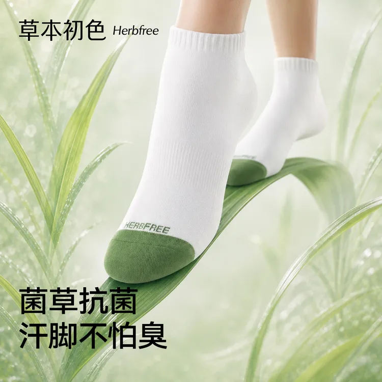 【草本初色】10A抗菌消臭菌草四季袜薄款男女款吸汗透气舒适新疆棉商品图