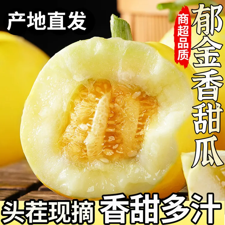 云南郁金香甜瓜香甜多汁白玉甜瓜白沙蜜瓜小香瓜新鲜水果商品图