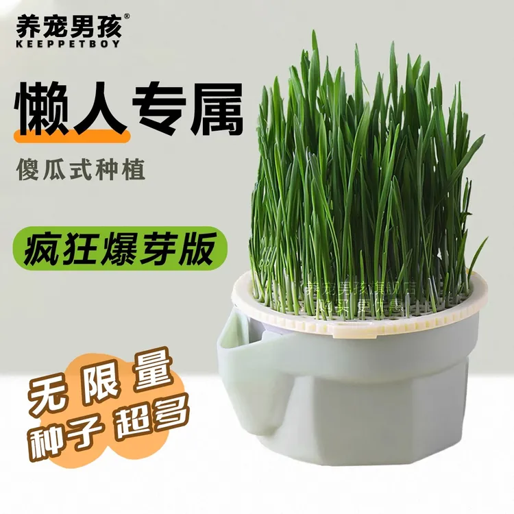 猫草盆栽水培盆懒人杯盒排毛球化毛草自种新鲜麦种子猫咪零食幼