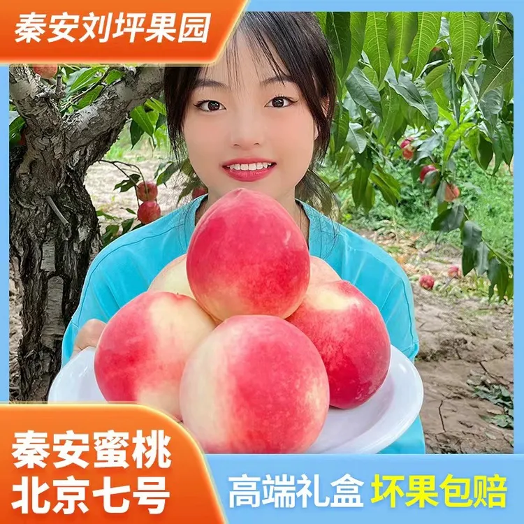 甘肃秦安蜜桃北京七号新鲜现摘当季孕妇水果软子离核水蜜桃9/12枚