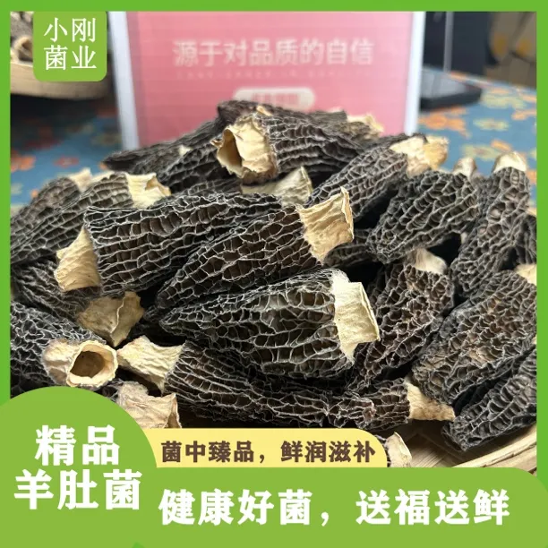 【精品头茬】优质甄选高山头茬羊肚菌干货，肉质肥厚，营养佳品
