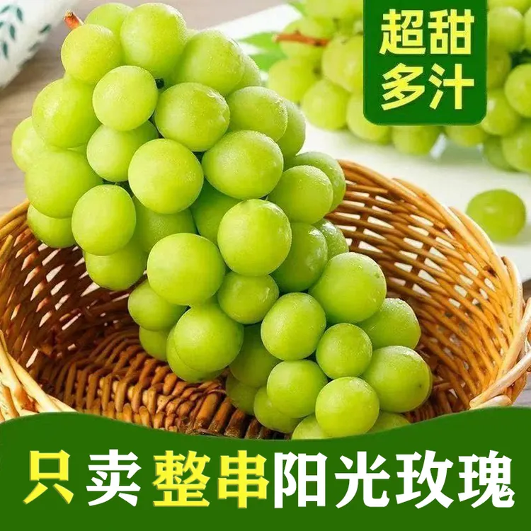 顺丰包邮正宗阳光玫瑰果园直采现摘现发头茬整串葡萄