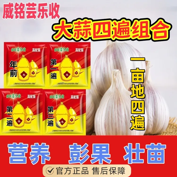威铭芸乐收大蒜一亩地四遍增产组合肥