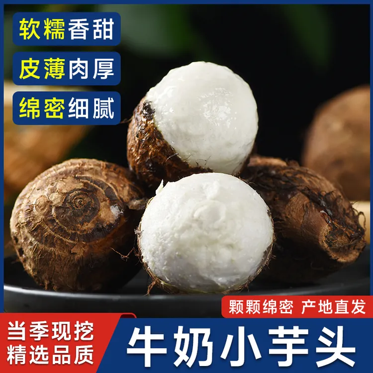 云南牛奶芋头小香芋5斤新鲜毛芋头现挖农家自种奶油芋艿软糯蔬菜