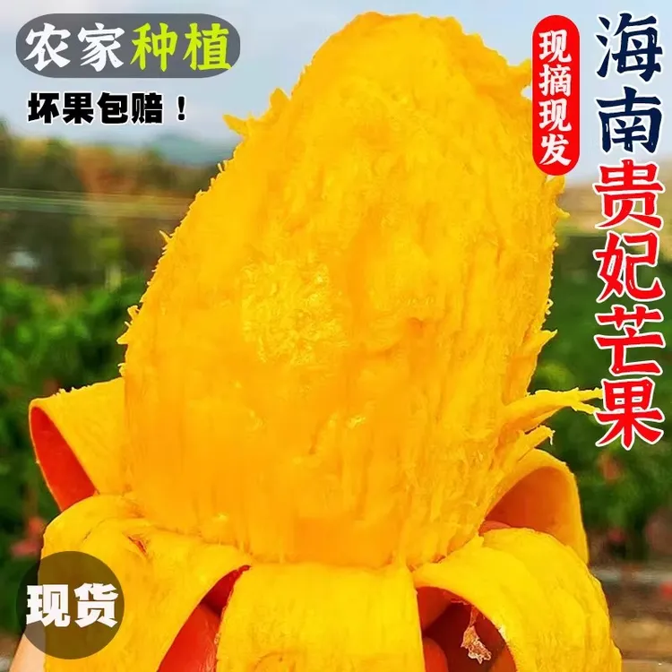 益春兴海南贵妃芒新鲜采摘应季水果香甜多汁当季水果坏果包赔商品图
