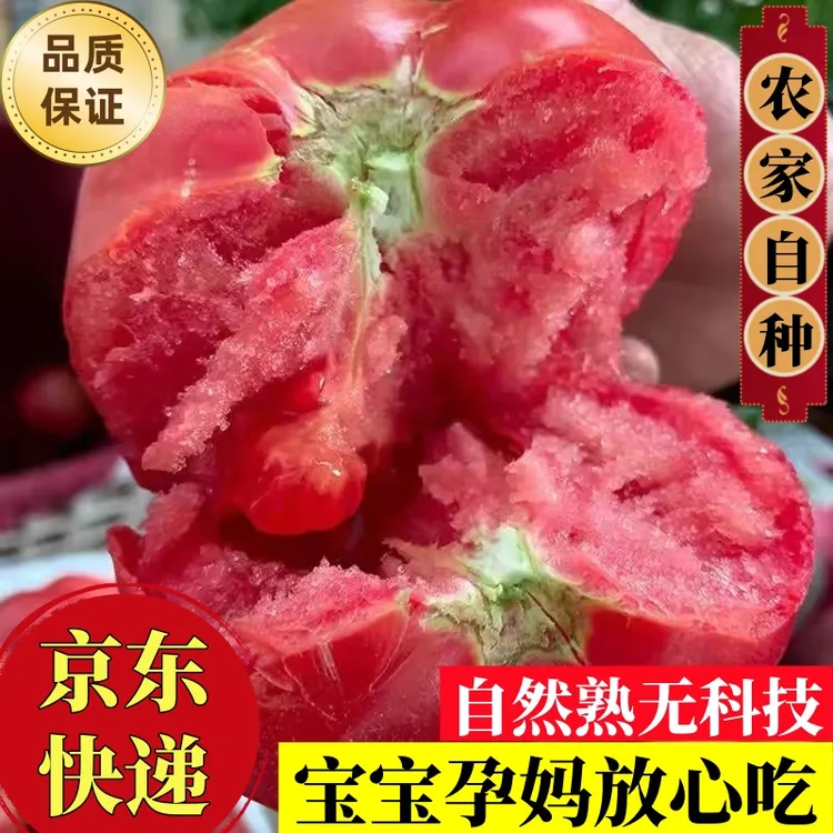 【京东】山东新鲜普罗旺斯水果西红柿自然熟沙瓤爽口多汁3-9.5斤