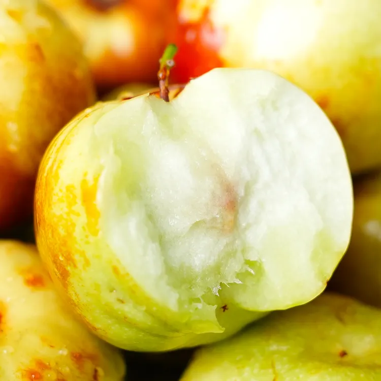 【源来】云南七彩蟠枣新鲜采摘红枣大枣枣子1/2/3/5斤装