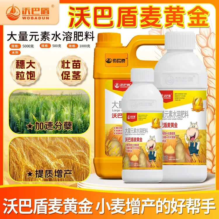 沃巴盾麦黄金抗寒防冻壮苗促茎抗逆抗倒伏穗大粒饱水溶肥料商品图