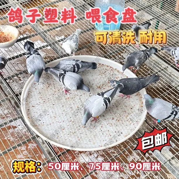 鸽子防撒喂食盘 塑料食槽 赛鸽喂食盆 信鸽食盒 鸽子饲料盒