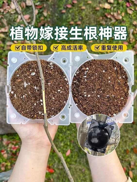 高压盒繁殖育苗果树花卉盆景高压神器