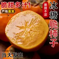 巧克力脆柿子水果新鲜大果应当季整箱包邮脆柿子脆皮黄硬市子甜心