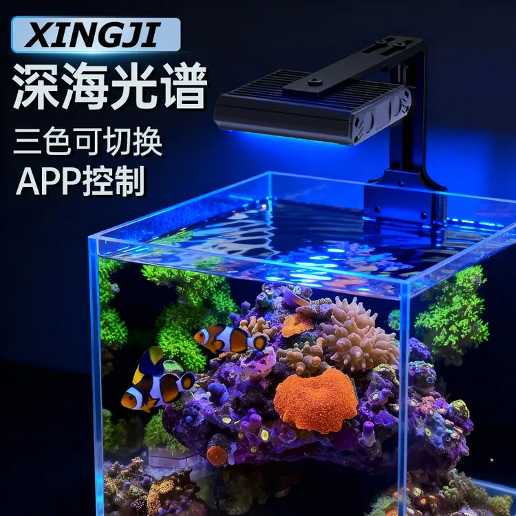 海缸珊瑚灯全光谱含UV海水小缸海水鱼软体珊瑚专用造景爆藻小丑鱼