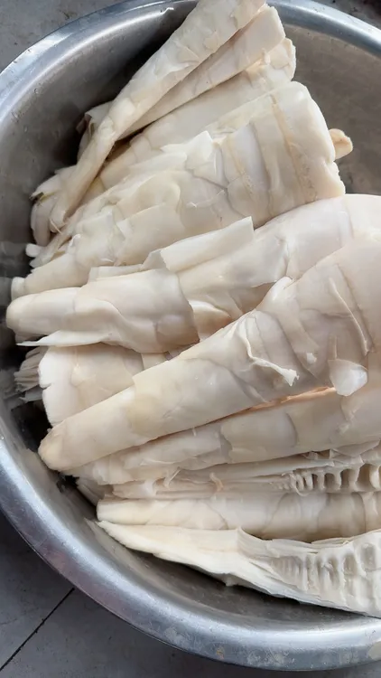 绿春新鲜竹笋尖嫩笋灰笋可做菜煲汤