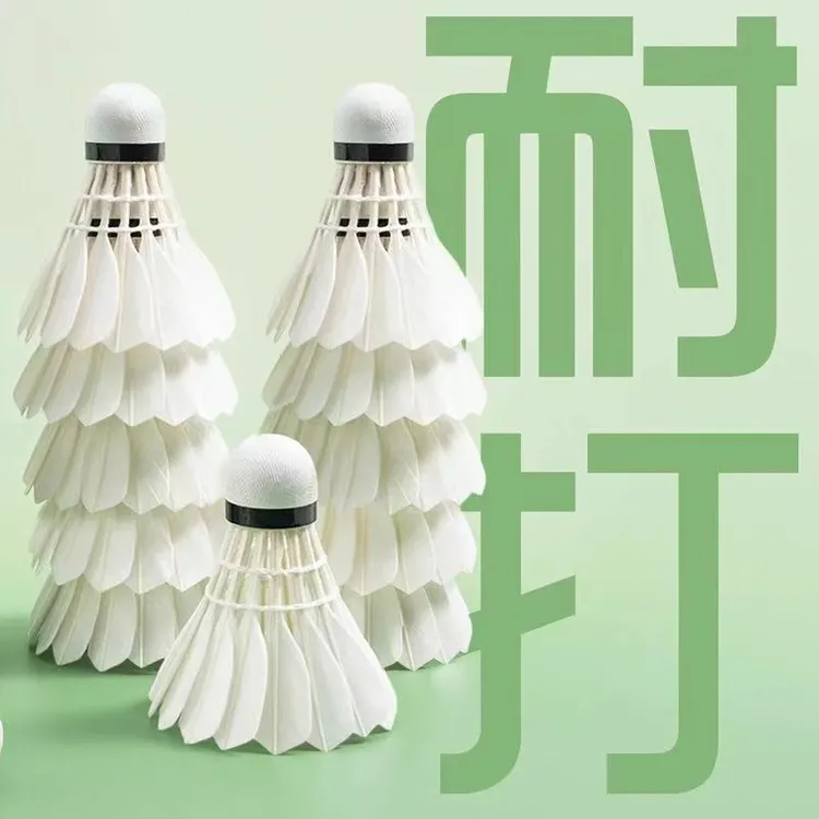 稳定耐打训练球口粮羽毛球02/05耐打稳定防风专业比赛训练球
