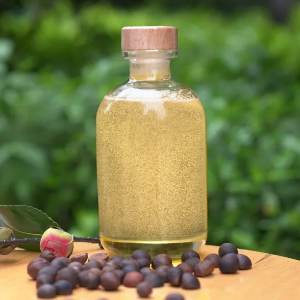 珍珠老树茶油】珍珠籽高山古树山茶油 低温压榨 头道山茶油 