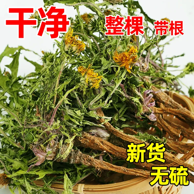 蒲公英茶散整棵带根新干货婆婆丁野菜特正宗品级煮泡水喝结中草材