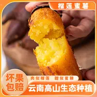 【顺丰】捣蛋薯正宗云南高原红薯希露库丝滑榴莲蜜薯黄心金时地瓜