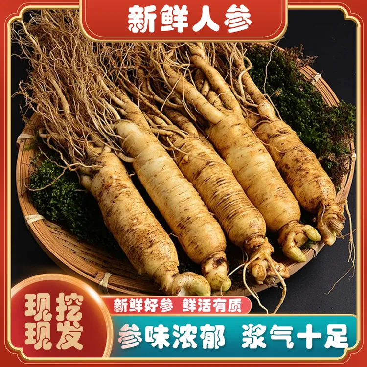 正宗长白山产地直销现挖现卖精选足龄人参煲汤东北人参长白山人参