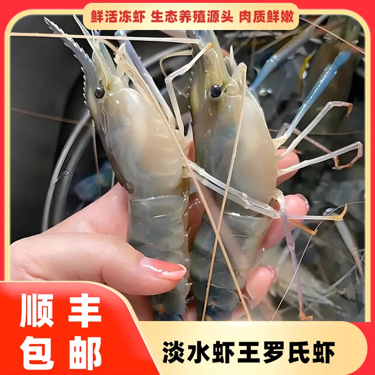 生冻罗氏沼虾整虾鲜活冷冻生鲜虾王液氮锁鲜饱满虾膏营养顺丰冷链