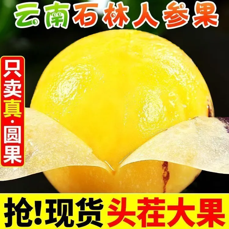 【精品】正宗云南石林人参果应季低糖孕妇果皮薄肉厚香味十足汁