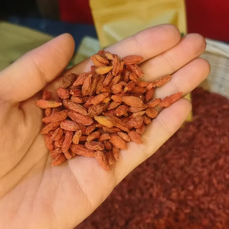长白山野生枸杞 足干枸杞 无硫无染枸杞 自然晾晒小粒红枸杞