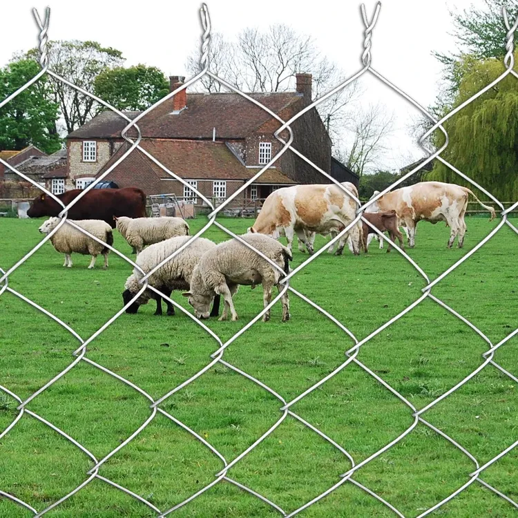 铁丝网围栏防护网定做防护围网养鸡牛羊护栏网铁丝网围栏勾花网