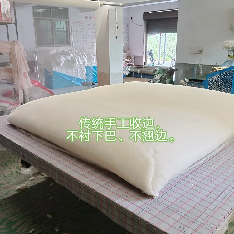 32支全棉网纱一级新疆棉被 盖被 垫被不接大单 包邮有运费险 定做