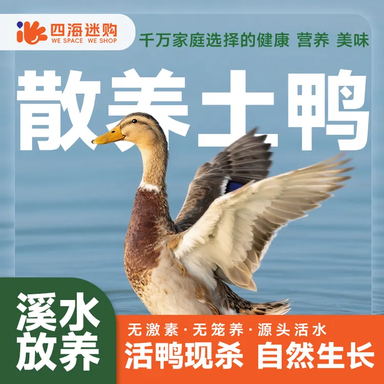 农家散养土麻鸭到手俩只