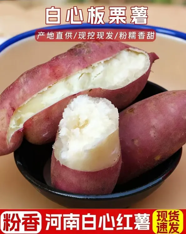 白心板栗红薯新鲜板栗红薯粉面番薯粗粮小香薯烤地瓜甜3-5斤代餐
