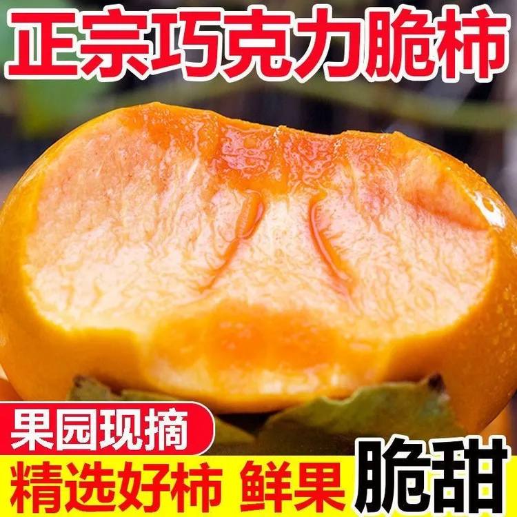 巧克力甜脆柿子新鲜当季水果冰糖心脆甜多汁整箱包邮