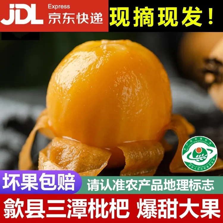 三潭枇杷 黄山特产新鲜采摘当季水果现摘现发皮薄肉厚特大果3/5斤