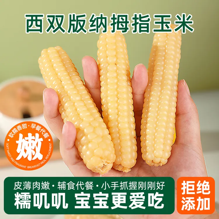 【软糯易吞咽】西双版纳拇指小玉米婴幼儿早餐代餐新鲜零食宝宝辅食