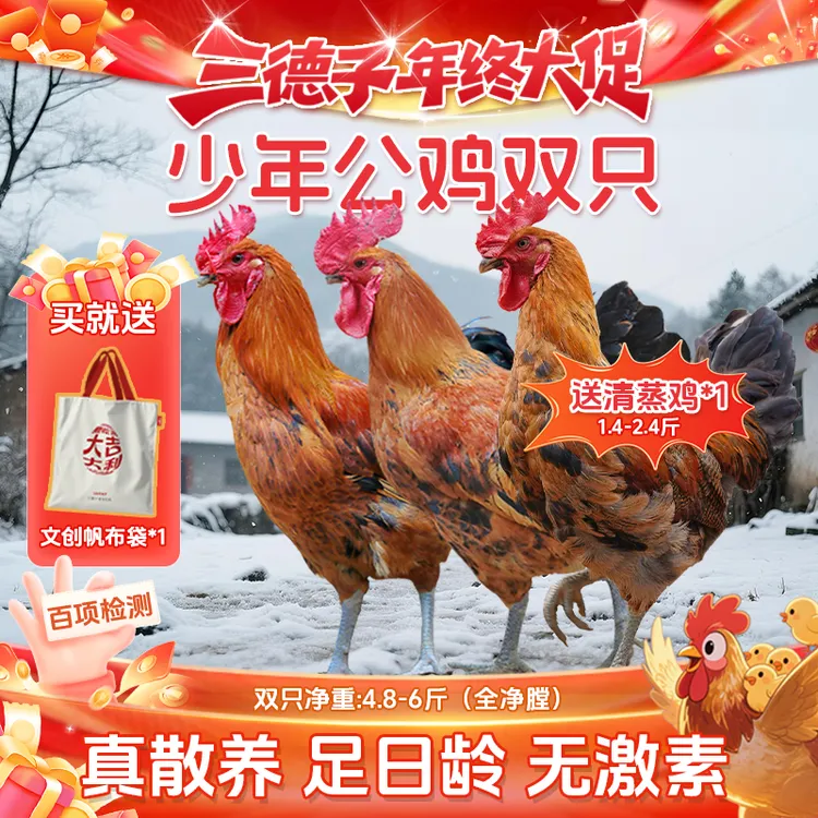 三德子【少年公鸡】买二赠一生态散养土鸡雪山草鸡白切鸡走地鸡鸡肉