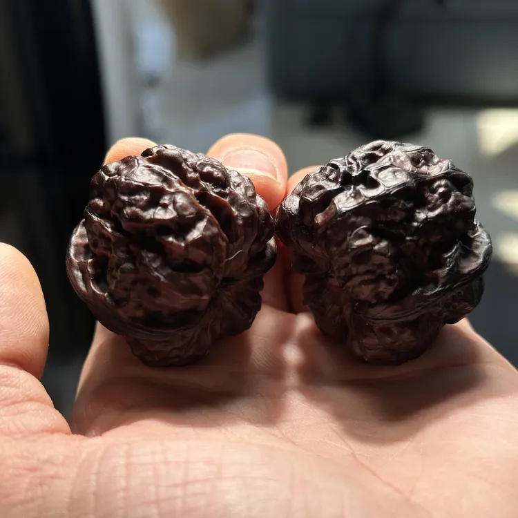 地闷蛤蟆头 尺寸随机