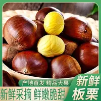 新鲜现摘农家板栗香甜饱满口感粉面内皮好剥