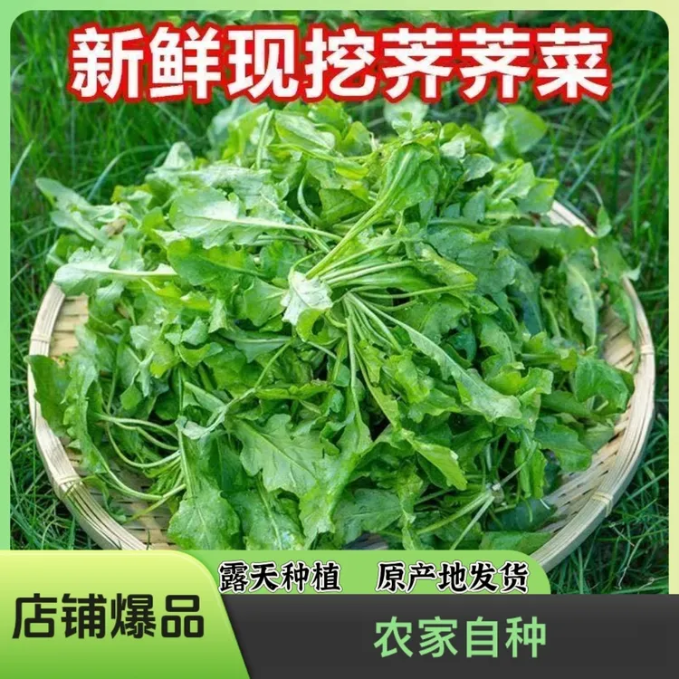 【农家自种】小叶荠菜 新鲜荠菜现挖现发 原产地发货 当季新鲜蔬菜