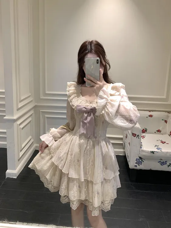 早秋胖MM刺绣法式绝美温柔蝴蝶结公主收腰蛋糕裙