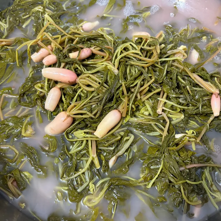 【萝卜酸菜】贵州特产手工无盐酸菜农家自制萝卜酸菜豆米酸菜鱼配料