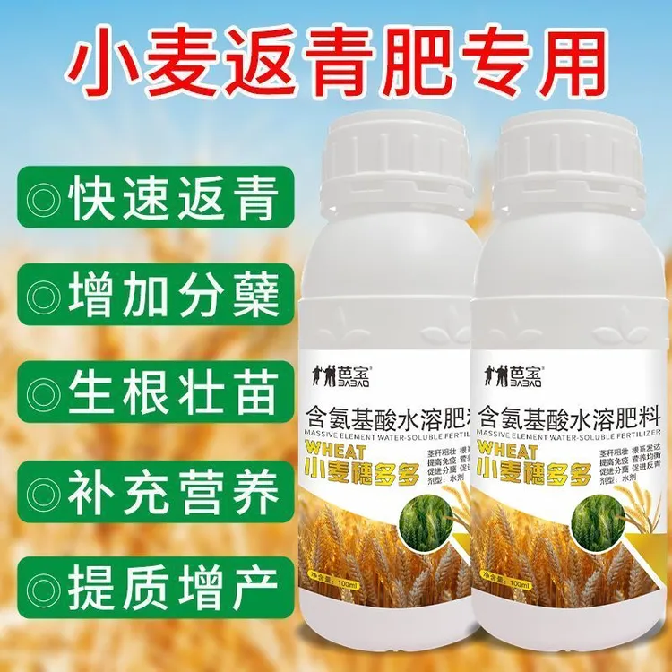 小麦膨大剂苄氨烷醇生长调节剂小麦促分蘖壮苗增产药