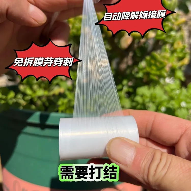 无菌膜苗木小云嫁接专用免拆嫁接膜薄膜芽穿刺自动降解需要打结商品图