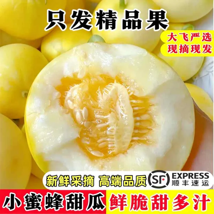 【顺丰包邮】山东小蜜蜂蜜罐甜瓜 星甜20网红甜瓜新鲜现摘黄金蜜甜