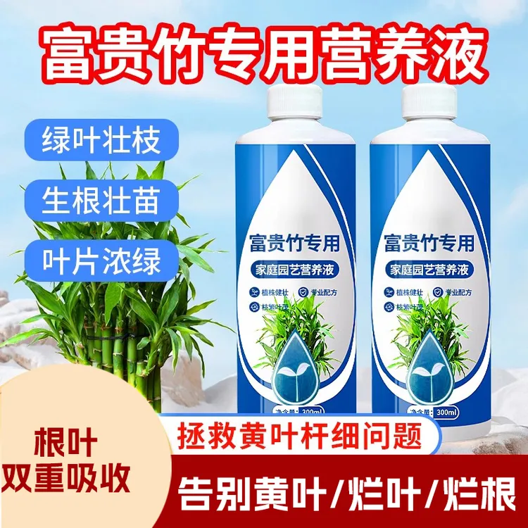 富贵竹专用营养液水培治叶子发黄观音竹转运竹绿植盆栽通用型肥料