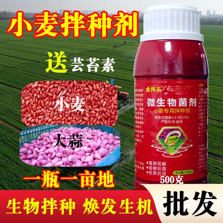 【升级款小麦大蒜拌种剂】小麦大蒜拌种剂微生物菌剂小麦包衣剂