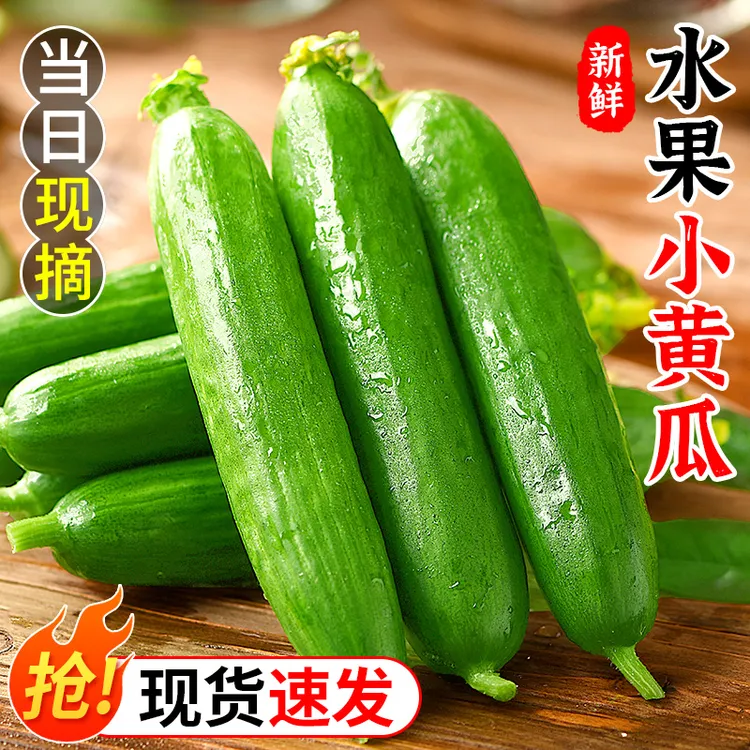 山东新鲜水果小黄瓜健康代食脆嫩无刺生吃清甜爽口现摘即食小青瓜