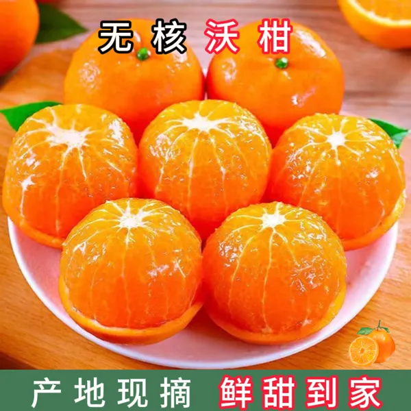 10斤无核沃柑产地直发