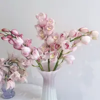 【诱惑一年苗】蕙兰中极品 室内盆栽 新手盆栽 千里挑一 品种天花板