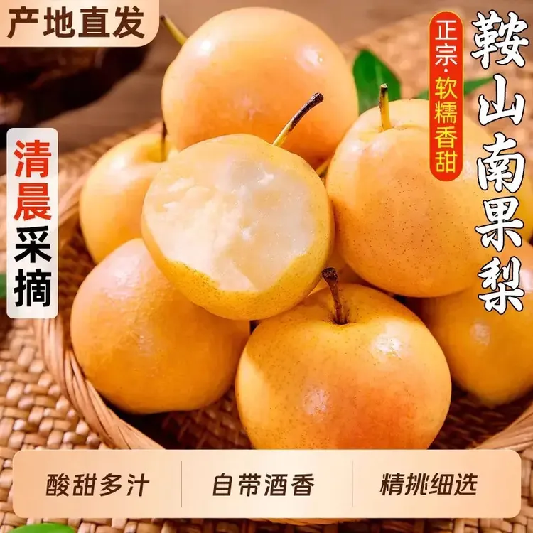 当季新鲜南果梨正宗鞍山海城南果梨东北特产水果香水梨软梨商品图