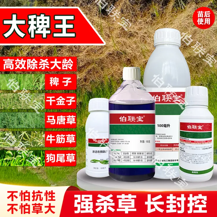 大稗王(除杀大龄稗子.千金草.马唐)直播田.旱田.强效触杀杀螺胺