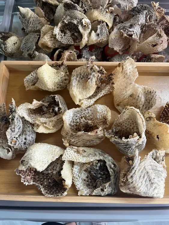 广东省汕尾无刺刺龟皮刺豚皮煲汤煲粥味道鲜美（已拔刺）